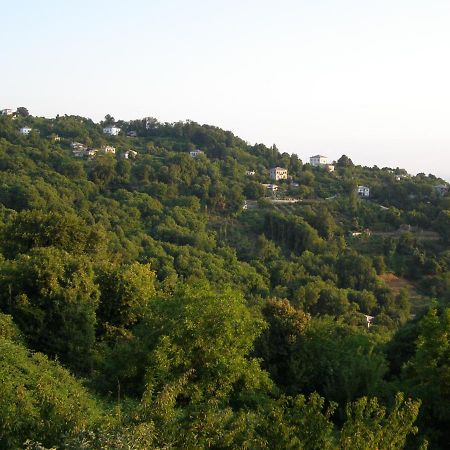 Hotel Tsagkarada Oda fotoğraf