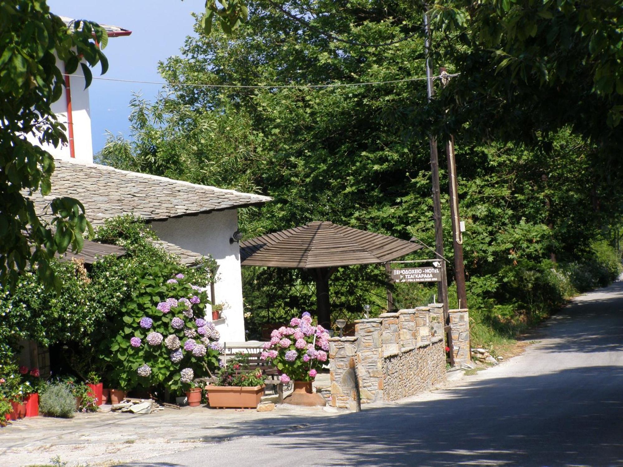 Hotel Tsagkarada Dış mekan fotoğraf