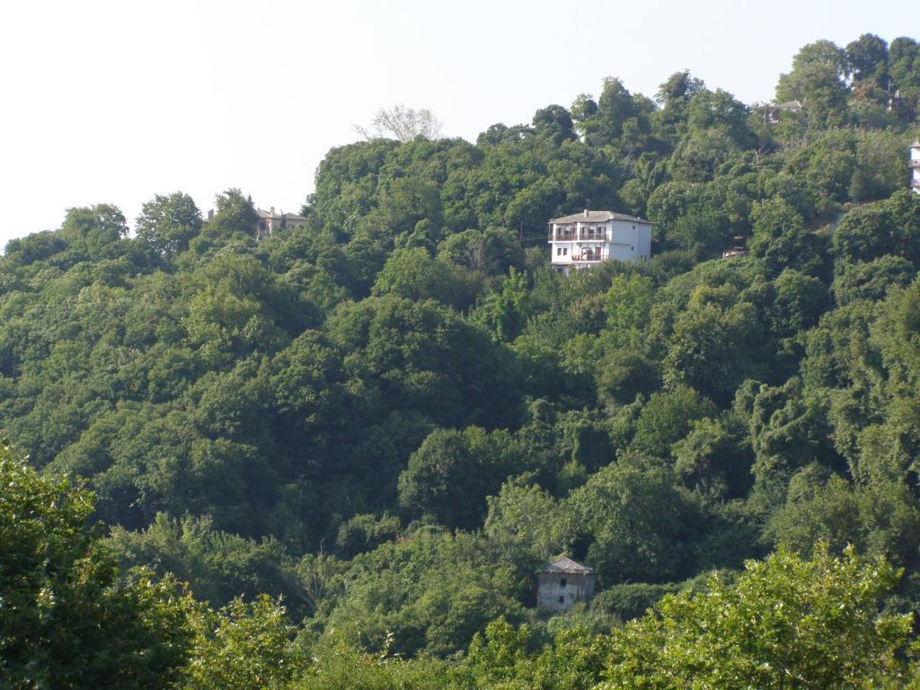 Hotel Tsagkarada Dış mekan fotoğraf